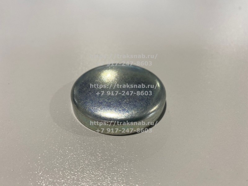 Заглушка головки блока Д-260 — 3