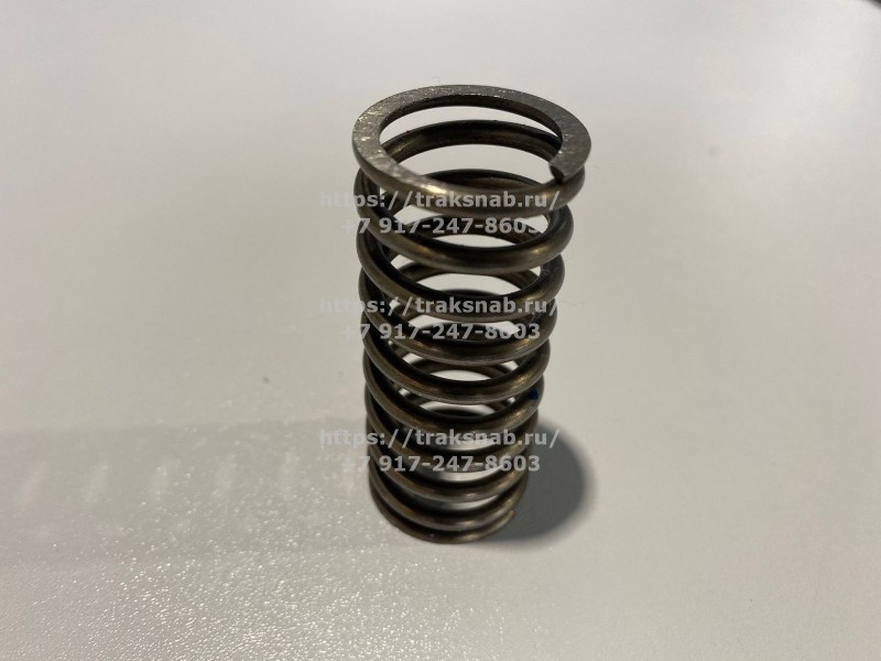 Пружина клапана наружняя Д245 — 3