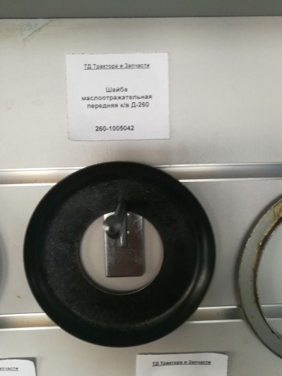Шайба маслоотражательная передняя к/в Д-260