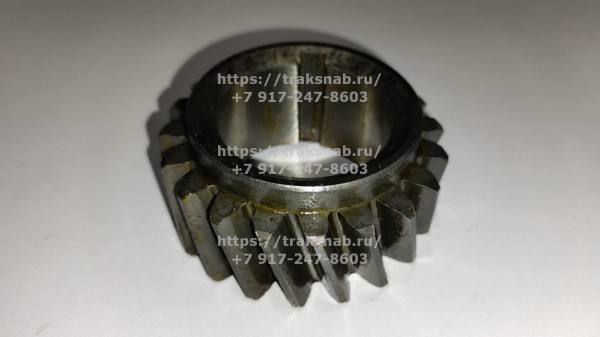 Шестерня к/вала задняя малая(20 зуб.)Д245.35 Евро4 — 2