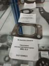 Прокладка коллектор/переходник ММЗ 3LD, миниатюра — 2
