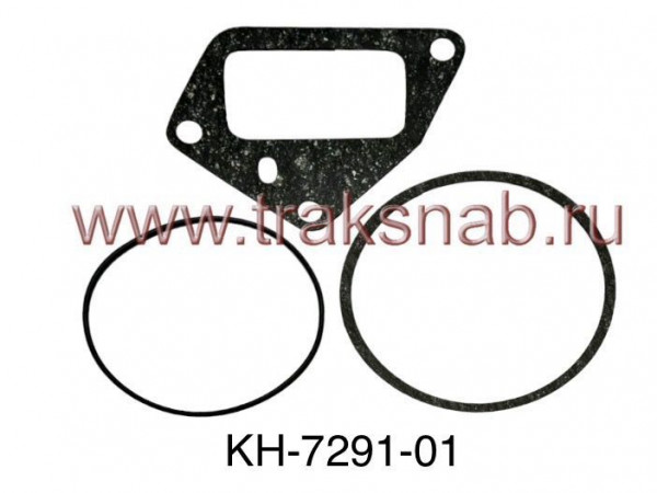 РК Д-260 центробежного масляного фильтра центрифуги (паронит,резина) — 1